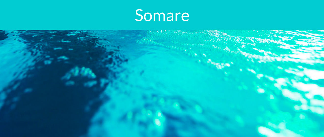 som1
